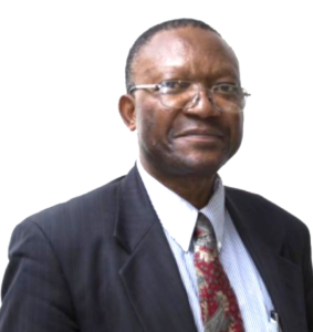 Prof. Martin Nkafu Nkemnkia